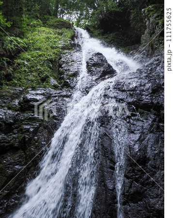 山口市・犬鳴の滝 111755625