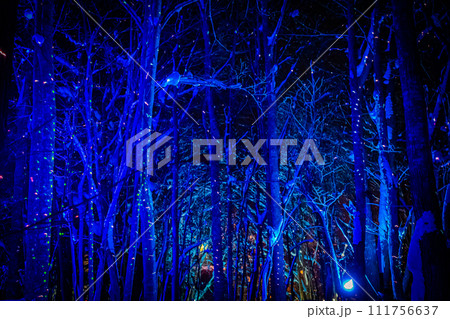 定山渓雪灯路の風景 定山渓雪灯路の風景 111756637