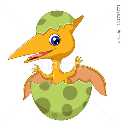 Cartoon baby pteranodon hatching from egg of illustration Cartoon baby pteranodon hatching from egg of illustration 111757771