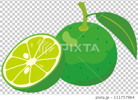 須鰍水果 德島縣旅遊資料 須鰍水果 德島縣旅遊資料 111757964