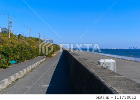 千葉県浦安市千鳥海岸遊歩道周辺2024年2月 千葉県浦安市千鳥海岸遊歩道周辺2024年2月 111758012