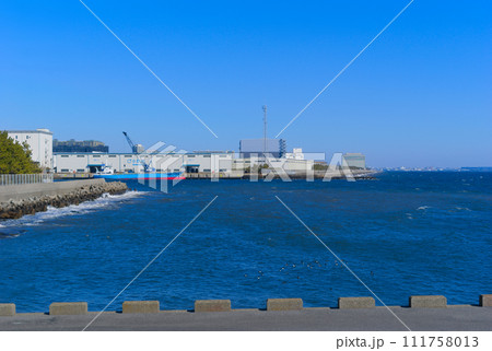 千葉県浦安市から見る船橋市方面2024年2月 111758013