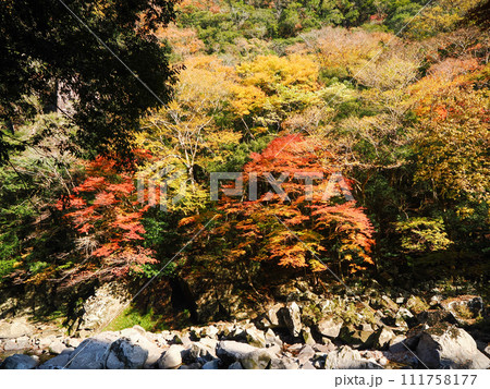 萩市・長門峡の風景 萩市・長門峡の風景 111758177