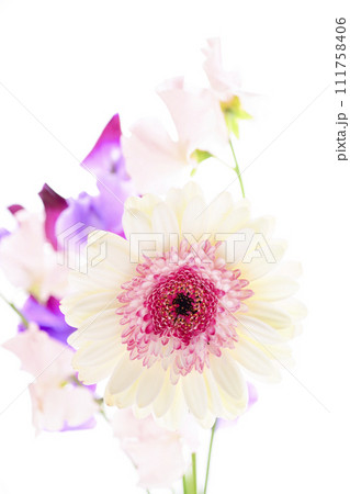 明るい白とピンクのガーベラと花々 111758406