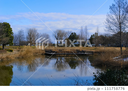 埼玉県松伏町まつぶし緑の丘公園周辺2024年2月 111758776