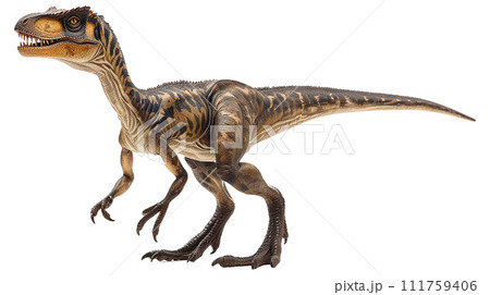 ユタラプトルのイメージ - image of Utahraptor - No3-1 -  111759406