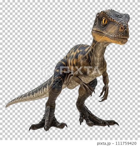 ユタラプトルのイメージ - image of Utahraptor - No4-7 -  111759420