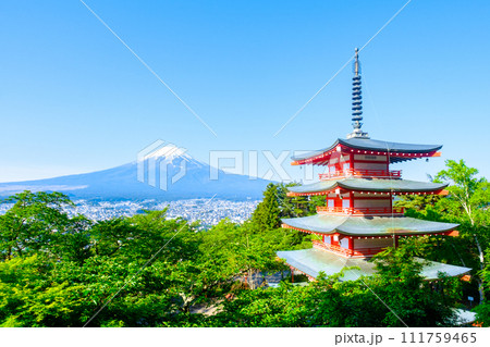 新緑と富士山（新倉山浅間公園） 111759465