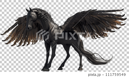 ペガサスのイメージ - image of Pegasus No8-6 -  111759549