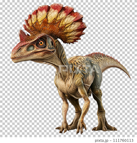 雙脊龍 No3-1 的圖像 111760113