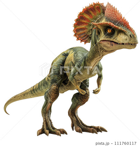 ディロフォサウルスのイメージ image of Dilophosaurus No3-5 111760117