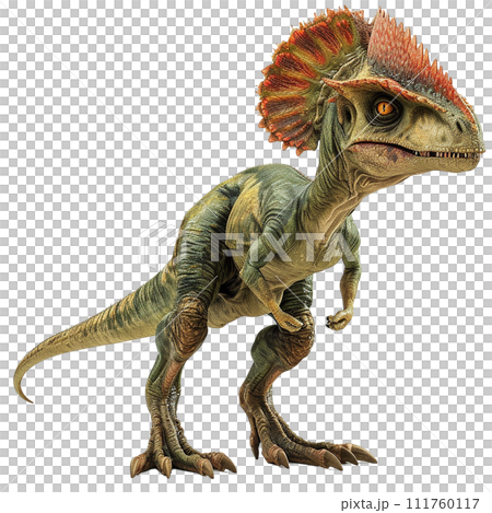 ディロフォサウルスのイメージ image of Dilophosaurus No3-5 111760117