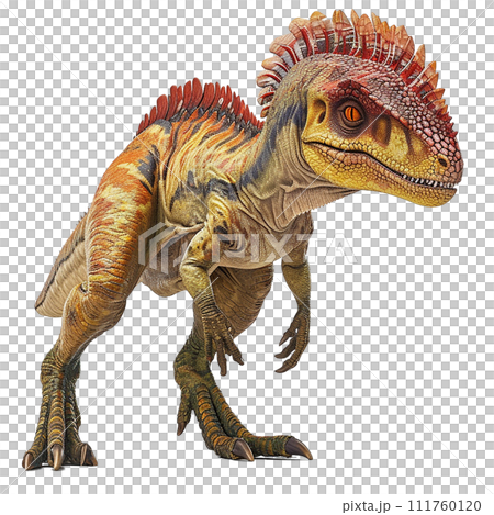 雙脊龍 No3-8 的圖像 雙脊龍 No3-8 的圖像 111760120