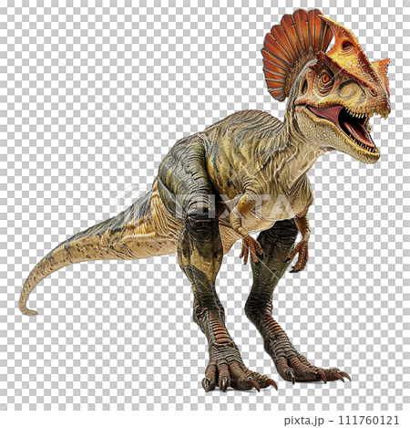 雙脊龍 No3-9 的圖像 雙脊龍 No3-9 的圖像 111760121