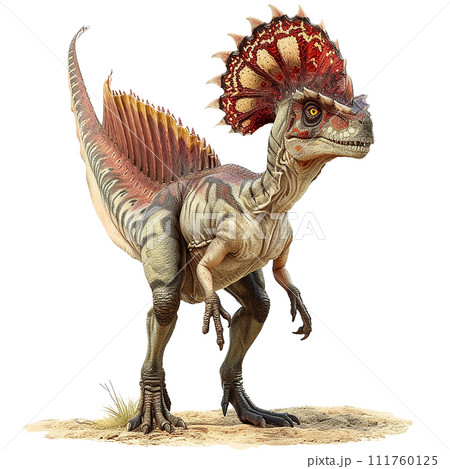 ディロフォサウルスのイメージ image of Dilophosaurus No3-13  111760125
