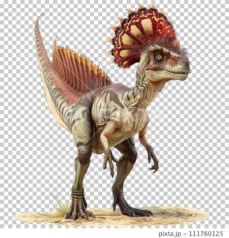 ディロフォサウルスのイメージ image of Dilophosaurus No3-13  111760125