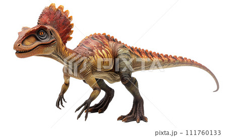 ディロフォサウルスのイメージ image of Dilophosaurus No2-2  111760133
