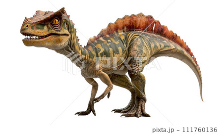 ディロフォサウルスのイメージ image of Dilophosaurus No2-5 111760136