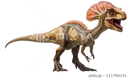 ディロフォサウルスのイメージ image of Dilophosaurus No2-10の