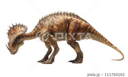 パラサウロロフスのイメージ image of Parasaurolophus No3-1 111760262