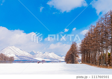 然別湖の冬の風景 111760501