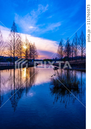 冬の打上川治水緑地の夕景 111760873