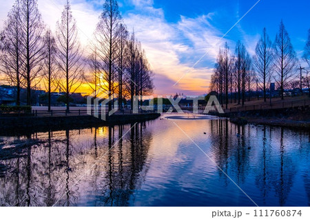 冬の打上川治水緑地の夕景 111760874