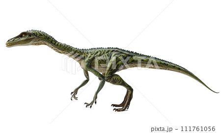 コエロフィシスのイメージ image of Coelophysis No2-1 コエロフィシスのイメージ image of Coelophysis No2-1 111761056