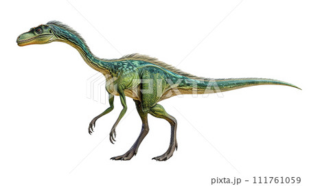 コエロフィシスのイメージ image of Coelophysis No2-4 111761059