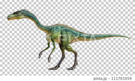image of Coelophysis No2-4 111761059