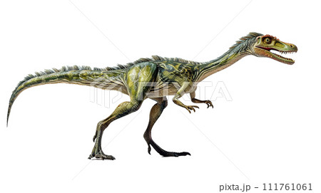 コエロフィシスのイメージ image of Coelophysis No2-6 コエロフィシスのイメージ image of Coelophysis No2-6 111761061