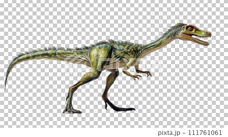 コエロフィシスのイメージ image of Coelophysis No2-6 コエロフィシスのイメージ image of Coelophysis No2-6 111761061