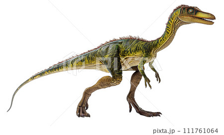 コエロフィシスのイメージ image of Coelophysis No2-9 コエロフィシスのイメージ image of Coelophysis No2-9 111761064