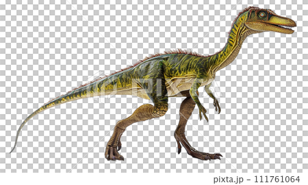 コエロフィシスのイメージ image of Coelophysis No2-9 コエロフィシスのイメージ image of Coelophysis No2-9 111761064