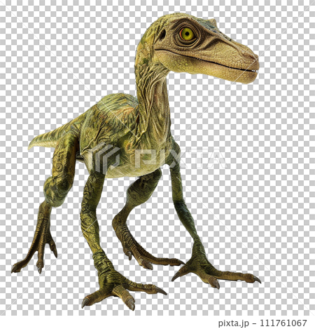 腔骨龍 No3-1 的影像 腔骨龍 No3-1 的影像 111761067