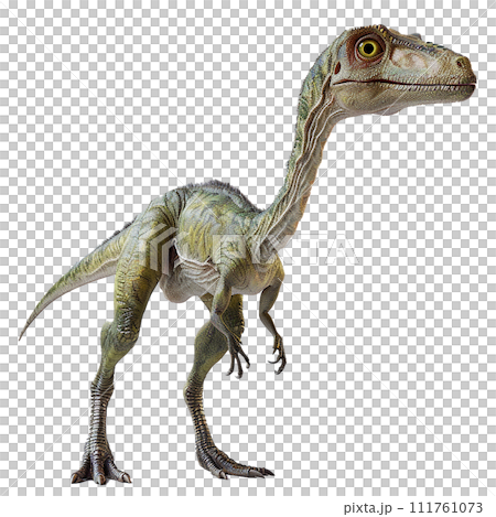 腔骨龍 No3-4 的影像 111761073