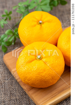 麻バックの柚子 111761098