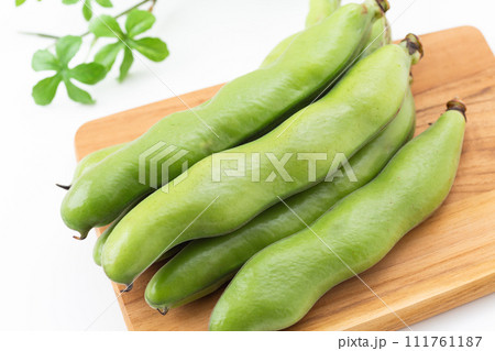白バックのそら豆 111761187