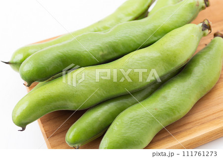 白バックのそら豆 111761273