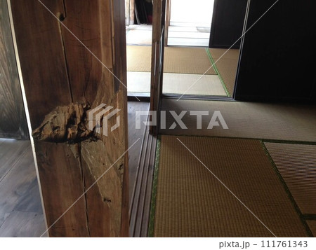 畳のある部屋で見た戦争の傷 111761343