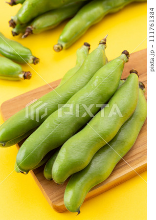 黄色背景のそら豆 111761384