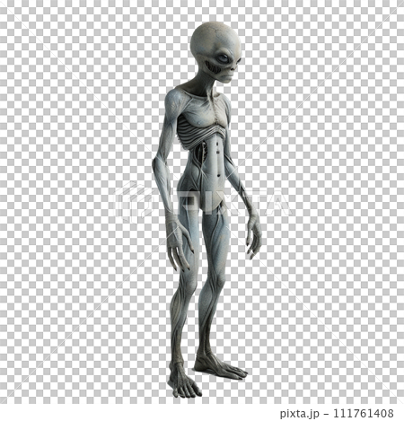 グレイ/宇宙人のイメージ image of Grey Alien No1-4 111761408