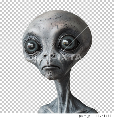 グレイ/宇宙人のイメージ image of Grey Alien No2-1のイラスト素材
