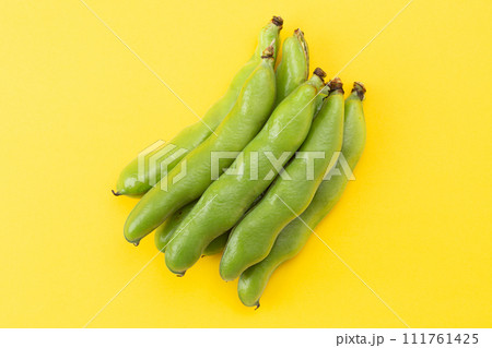 黄色背景のそら豆 黄色背景のそら豆 111761425
