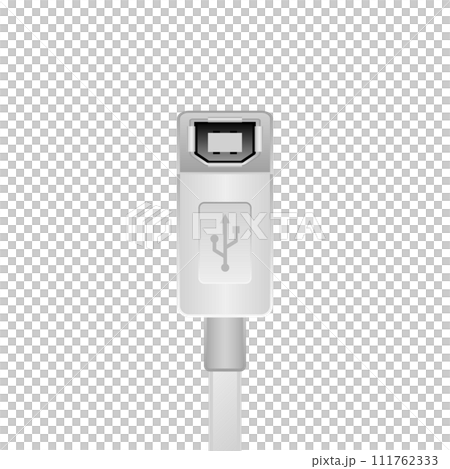シンプルなイラスト_白いUSB Type-B 2.0_メス 111762333
