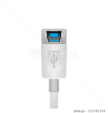 シンプルなイラスト_白いUSB Type-B 3.0_3.1_メス 111762334