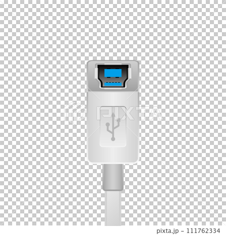 シンプルなイラスト_白いUSB Type-B 3.0_3.1_メス 111762334