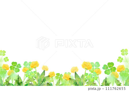 たんぽぽとクローバーの背景素材 111762655