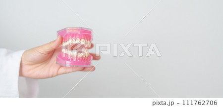 Dentist with tooth Anatomy model. Oral Teeth and disease, Scrape off tartar. March Oral health, Dentist Day, False Teeth. Toothache and Children Dental Health Month and Orthodontic Health Day Dentist with tooth Anatomy model. Oral Teeth and disease, Scrape off tartar. March Oral health, Dentist Day, False Teeth. Toothache and Children Dental Health Month and Orthodontic Health Day 111762706