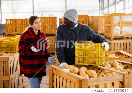 Man and woman farmers talking during stacking pumpkins Man and woman farmers talking during stacking pumpkins 111763082